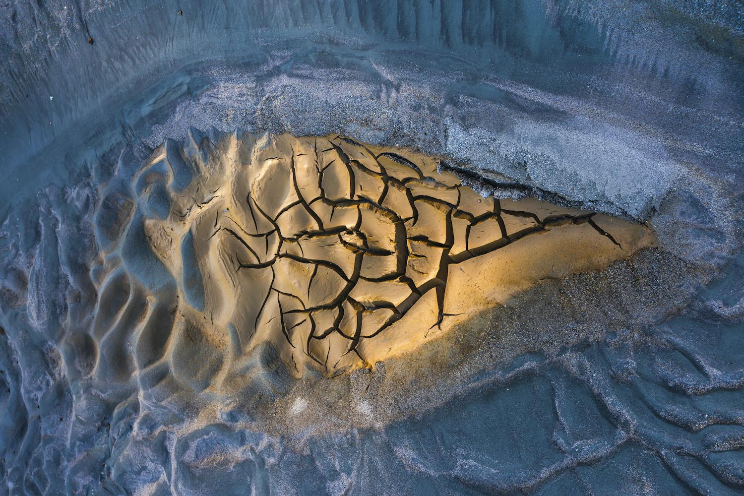 Vinder i kategorien "Art of nature"